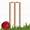 Cricket High Quality Image Wicket