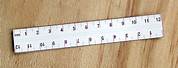 15 mm Ruler