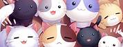2048X1152 Cat Cafe Anime