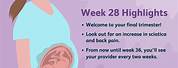 28 Weeks Pregnancy Symptoms