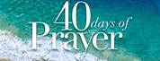 40 Days of Prayer Vine and Branch
