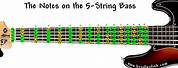 5 String Bass Guitar Fretboard