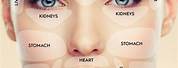Acne Face Mapping Chart