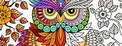 Adult Coloring Pages by Number App