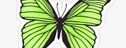 Aesthetic Butterflies Clip Art