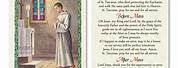 Altar Server Holy Cards