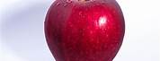 Apple 11 Fruit