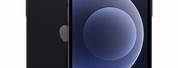 Apple iPhone 12 Mini Black Screen