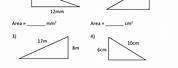 Area of a Right Angle Triangle Worksheet