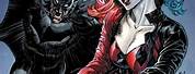 Arkham Asylum Harley Quinn Kills Batman Comic