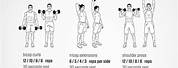 Arm Workouts to Do at Home