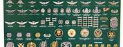 Army Badges N Pin Identification