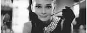 Audrey Hepburn Cigarette Holder