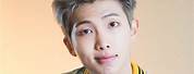 BTS Members Solo RM
