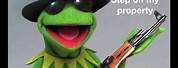 Bad Kermit the Frog Meme