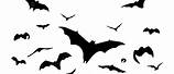 Bats Flying Transparent Vector