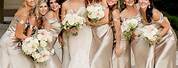 Beige Bridesmaid Dresses with Wedding Dress