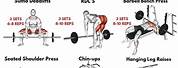 Best Compound Barbell Exercises