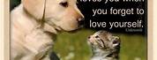 Best Friends Quotes Animal