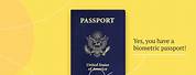 Biometric Passport Symbol
