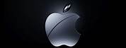 Black Apple Logo iPad Wallpaper