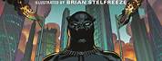 Black Panther Book 2 a Nation Under Our Feet