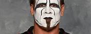 Black and White Wrestler Face Painting