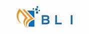 Bli Business Logo