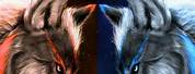Blue and Orange Wolf Cool