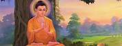 Buddha What Makes Us Human Meme