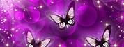Butterfly Animated Wallpaper Live