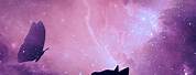 Cat Ultra HD Wallpaper Galaxy