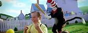 Cat in the Hat Baseball Bat Meme