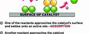 Catalyst Chemical Reaction