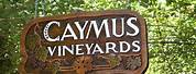 Caymus Vineyards Wooden Sign