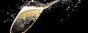 Champagne Bubbles in a Glass Black Background