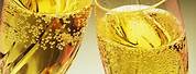 Champagne Glass High Resolution