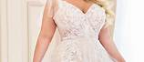 Champagne Wedding Dresses Plus Size for the Bride