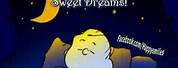 Charlie Brown Good Night See You Tomorrow