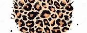 Cheetah Print Aesthetic Circle Shape