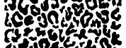 Cheetah Print Black and White Aesthetic