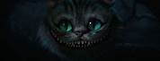 Cheshire Cat Kerch