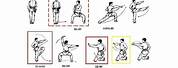 Chinese Martial Arts Stances