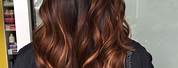 Chocolate Brown Ombre Hair Color