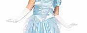 Cinderella Old Clothes Costume