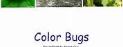 Color Bugs Link by Karen Cox