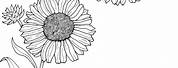 Coloring Pages Ofsun Flower Borders