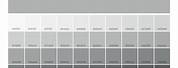 Cool Gray Pantone Color Chart