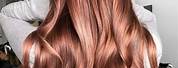 Copper Rose Gold Hair Dye