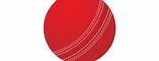 Cricket Ball Vector Icon